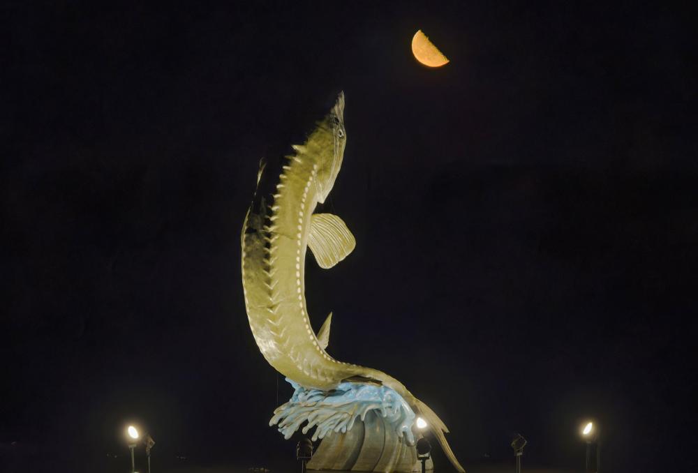 年度最大下弦月“爬上”夜空