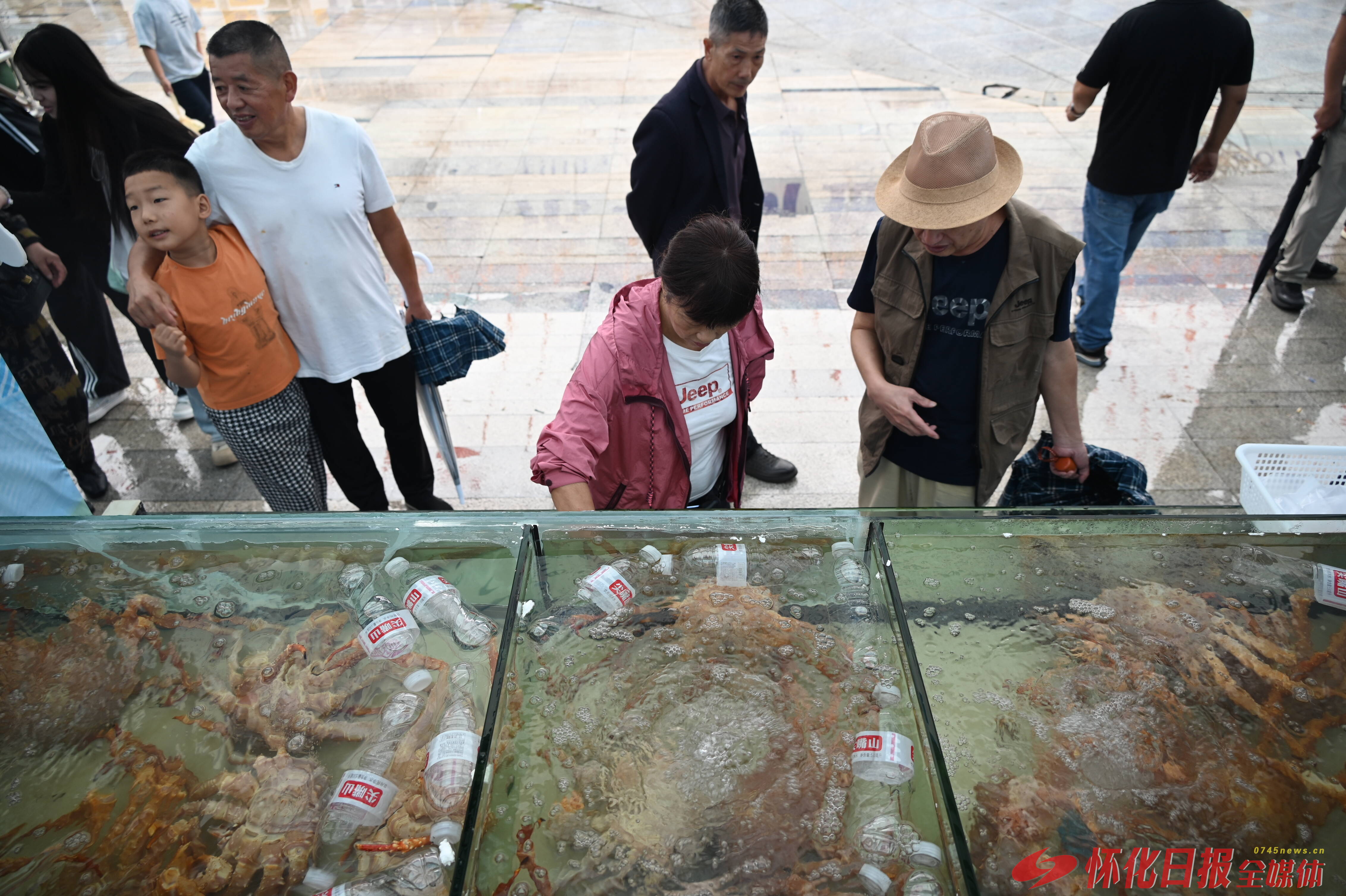 经济微观察丨东盟好物搬到了家门口