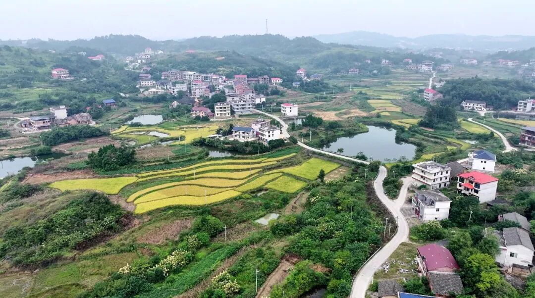 “空壳村”的蝶变!来看邵东这个村的振兴答卷