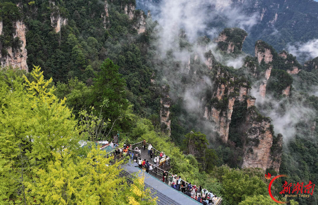 “十一”乐游张家界丨张家界国家森林公园：登山赏景享假期