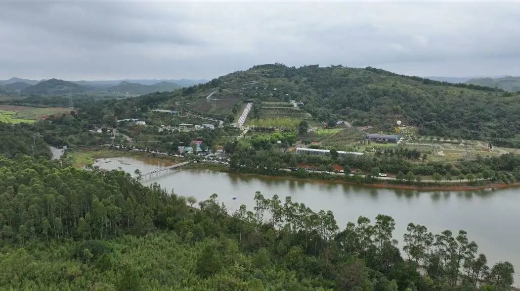 桂阳:国庆打卡好去处 这片花海全新升级