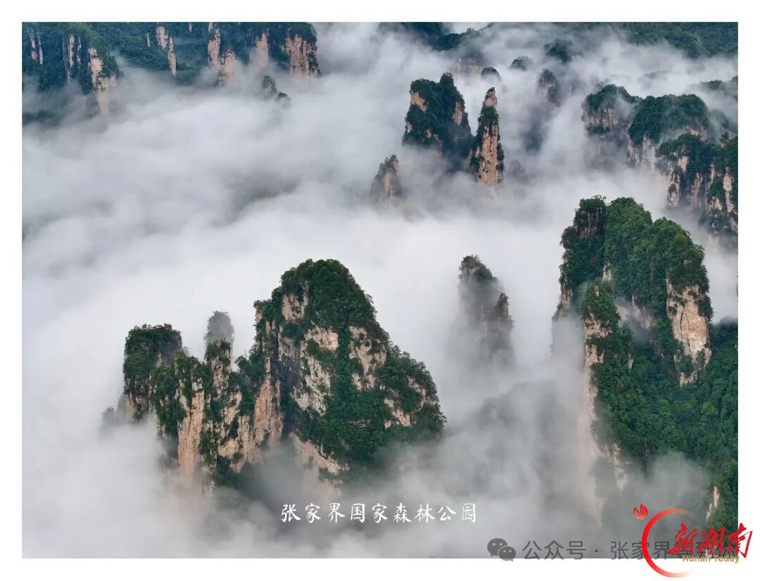 张家界景区:美景养眼 姜茶暖心