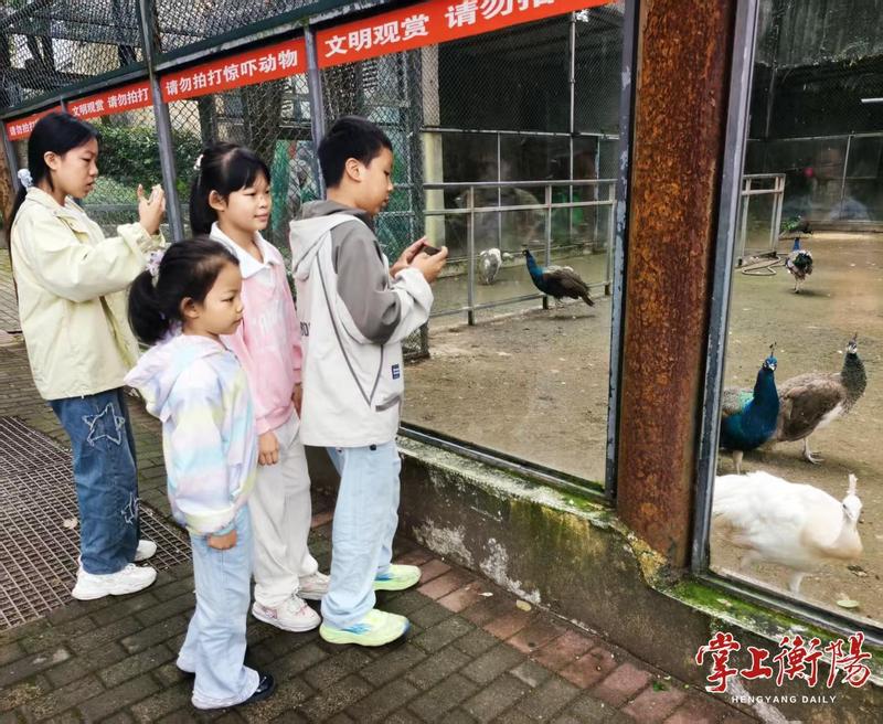 国庆不忙 来趟衡阳｜国庆假期前三天，衡阳市动物园迎客5000余人次