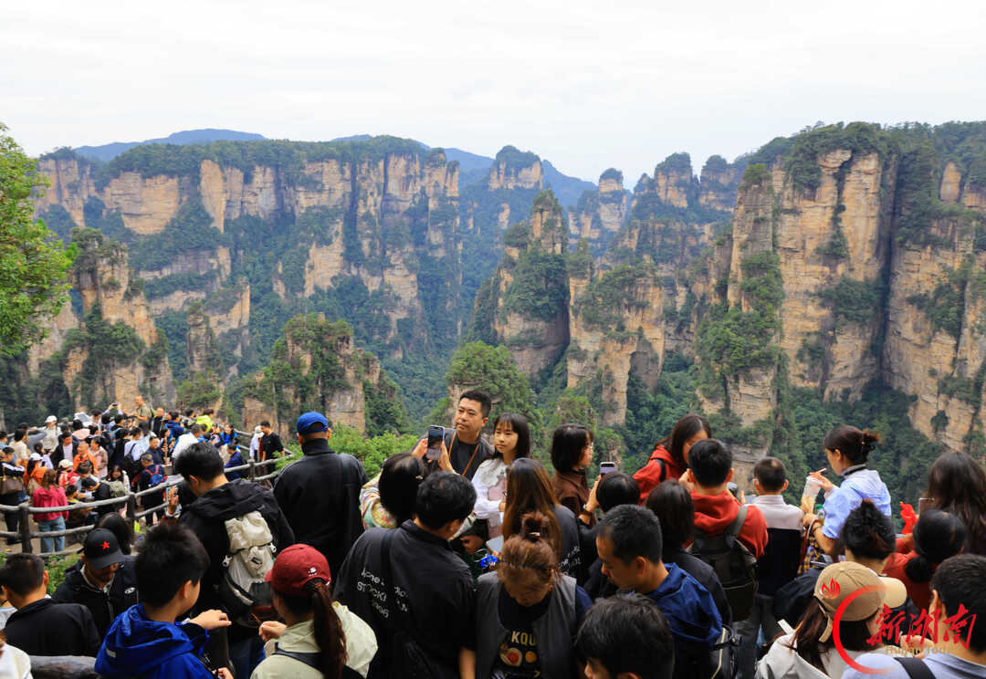 “十一”乐游张家界丨张家界国家森林公园：登山赏景享假期