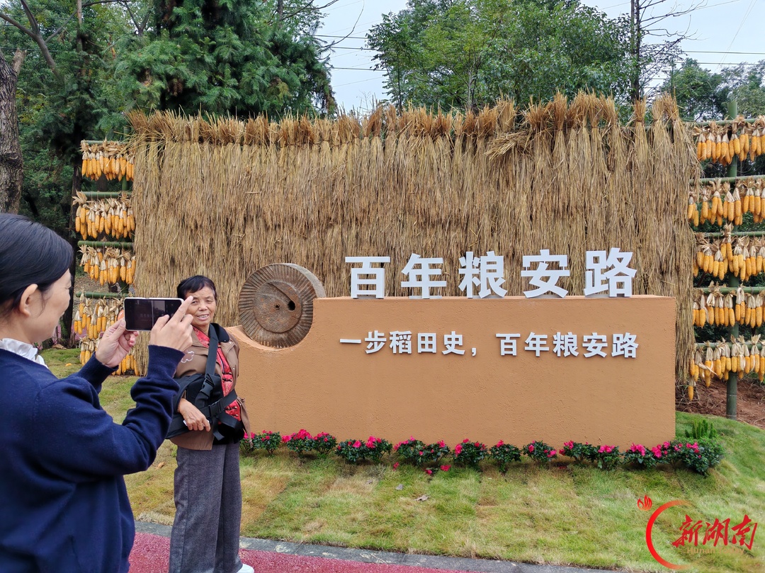 打卡港中坪百年粮安路!
