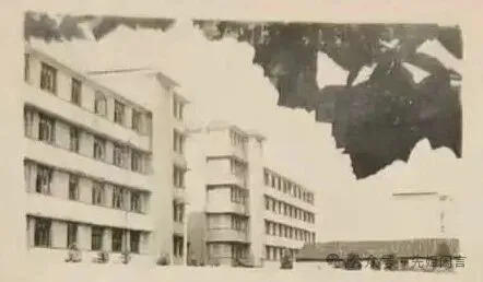岳师附小:那场男女生对唱