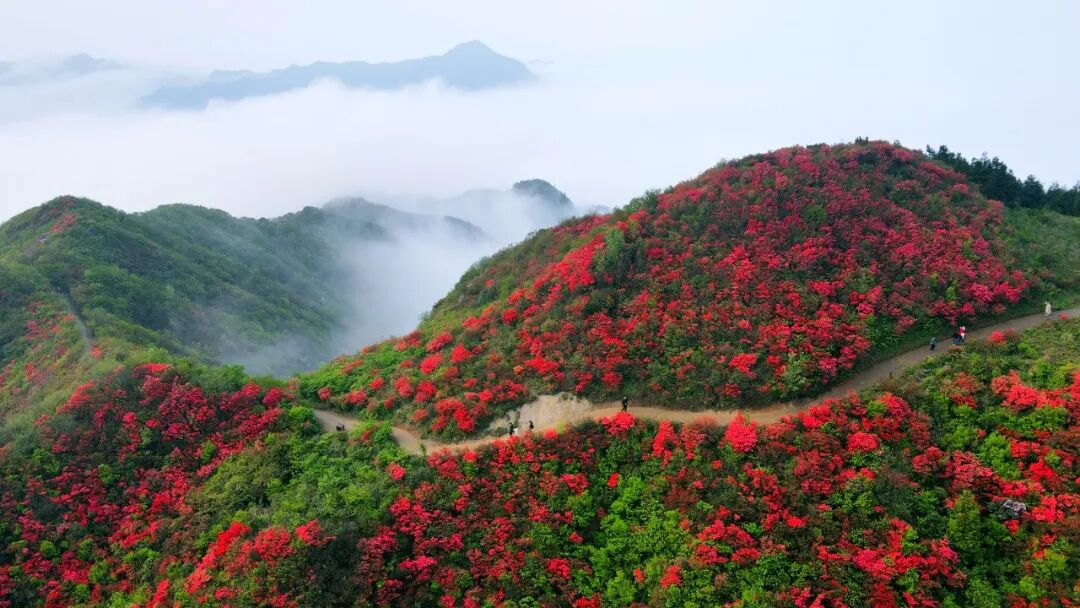 国庆不忙 来趟衡阳丨假期过半!常宁这条路线,现在出发还不晚