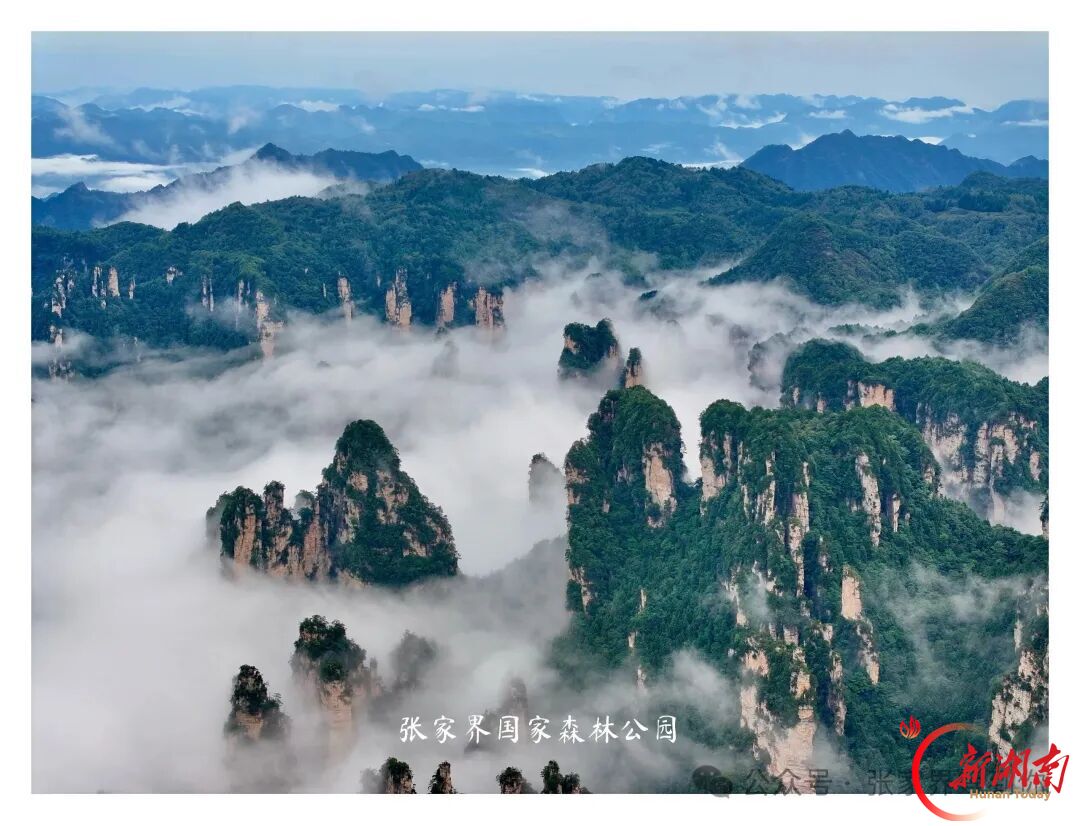 张家界景区:美景养眼 姜茶暖心