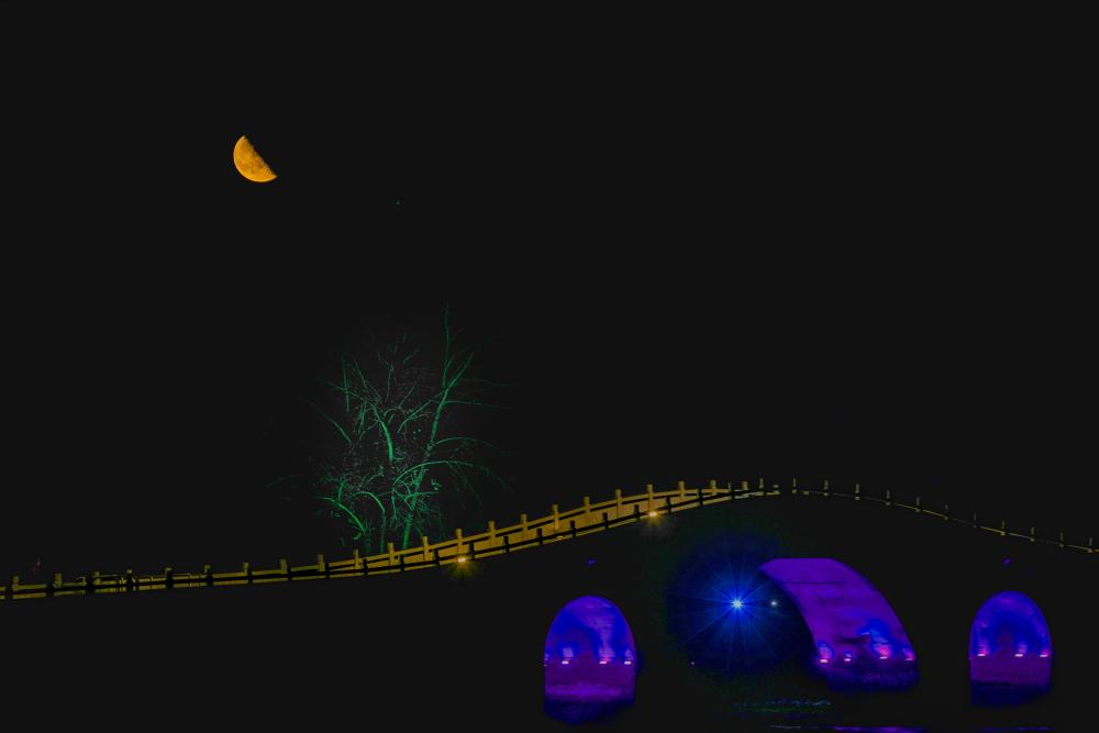 年度最大下弦月“爬上”夜空