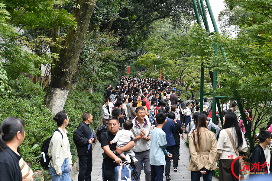 登高览胜品秋意