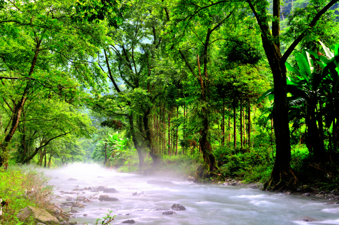 森保节特辑丨栖居澧水边