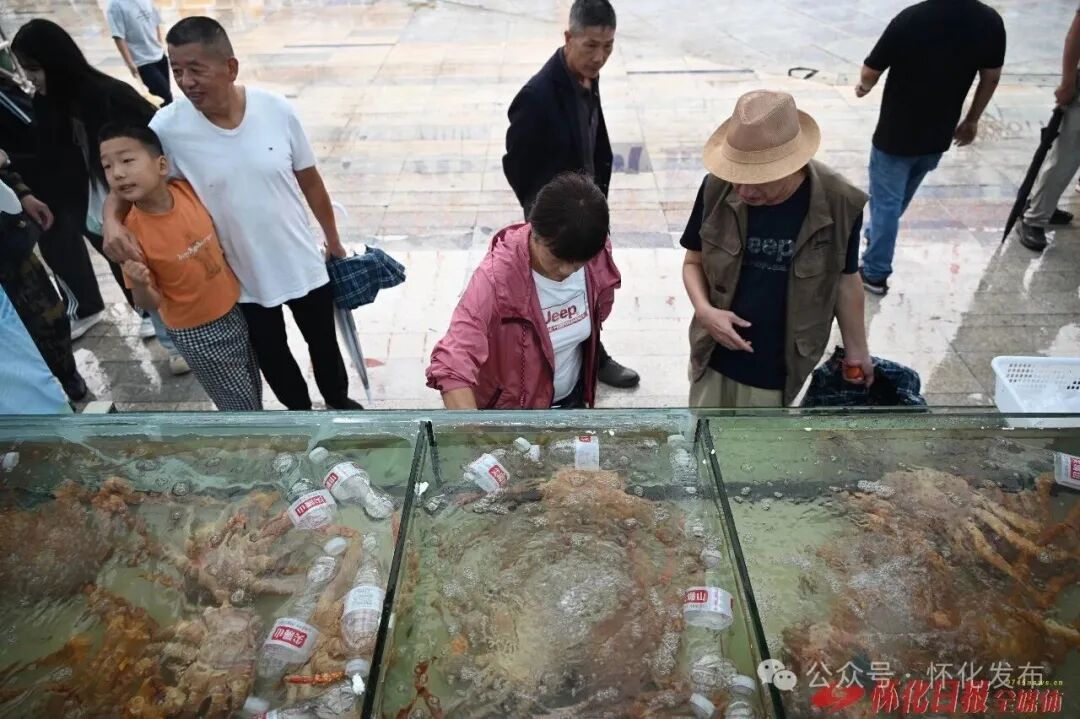 从“内陆腹地”成为“开放前沿”,东盟好物搬到了家门口!