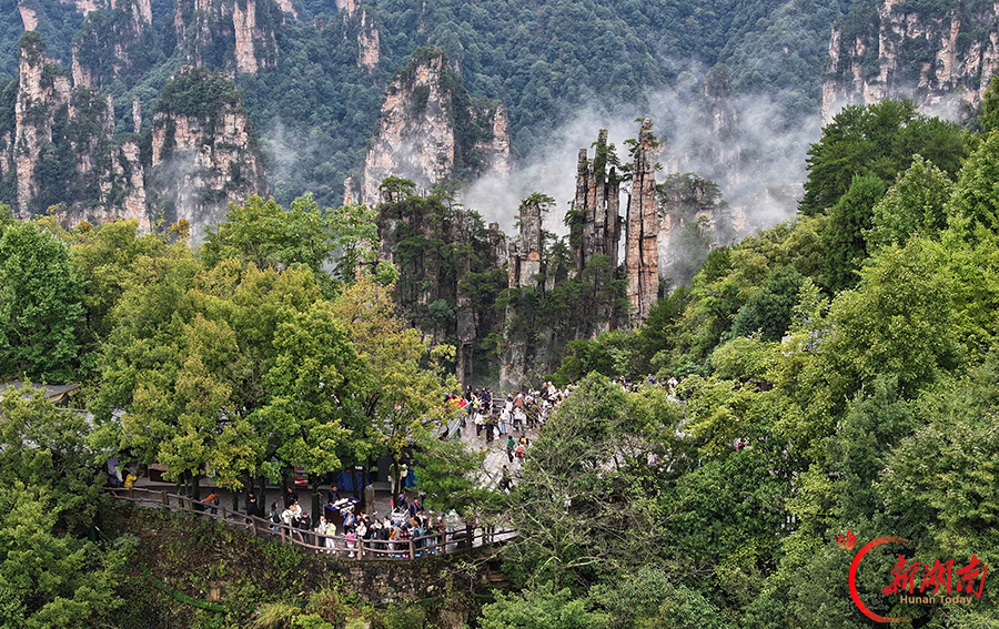 峰林迎客