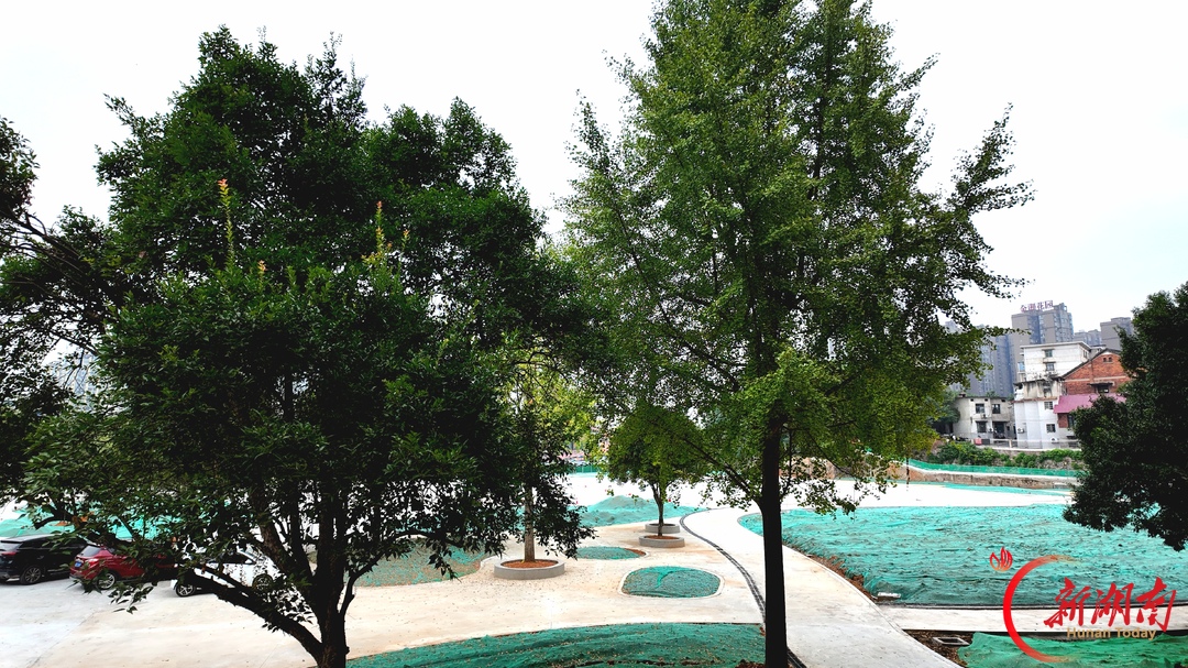 邵阳市双清区城市更新探索老旧片区一体化改造新路径 |  湖南日报要闻头条