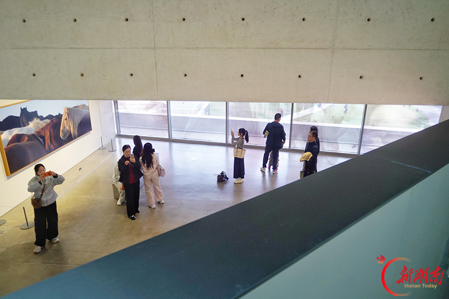 国庆看展好去处 多场影像展齐亮相