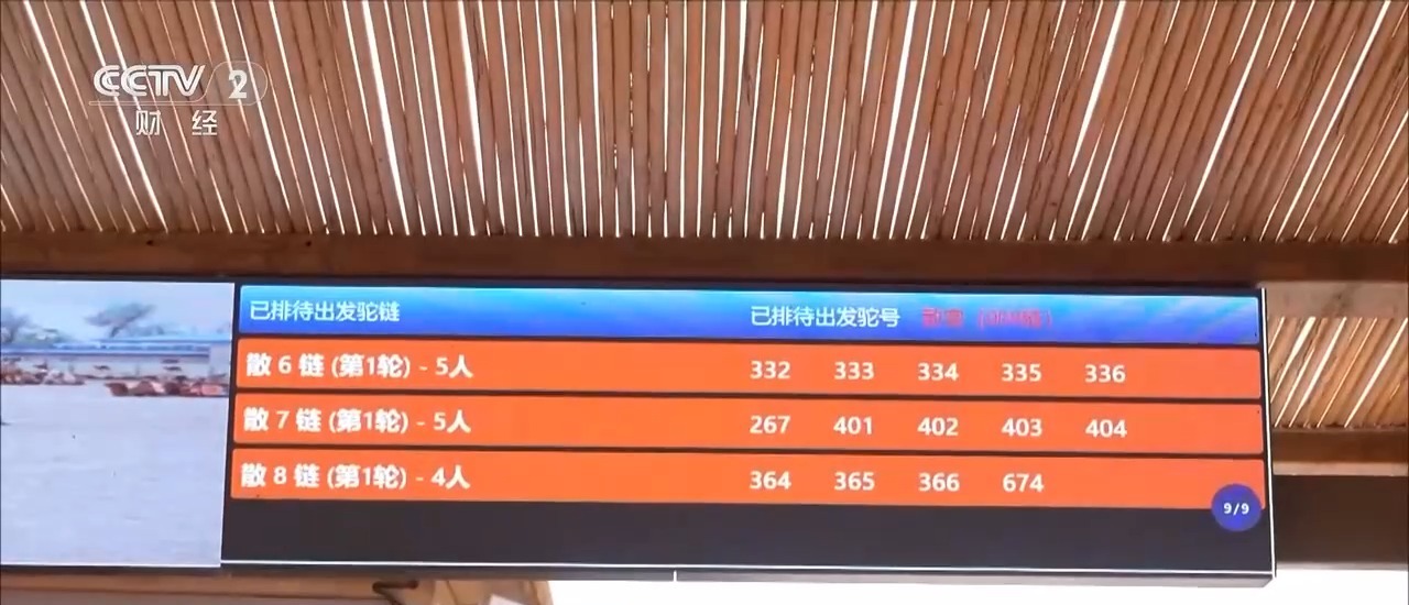 银票游古镇、大漠看马术、智游水乡 你的国庆假期打开方式是?
