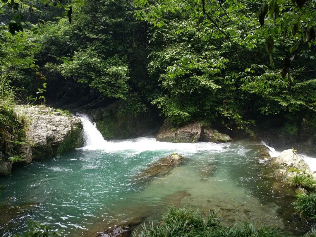 森保节特辑丨栖居澧水边