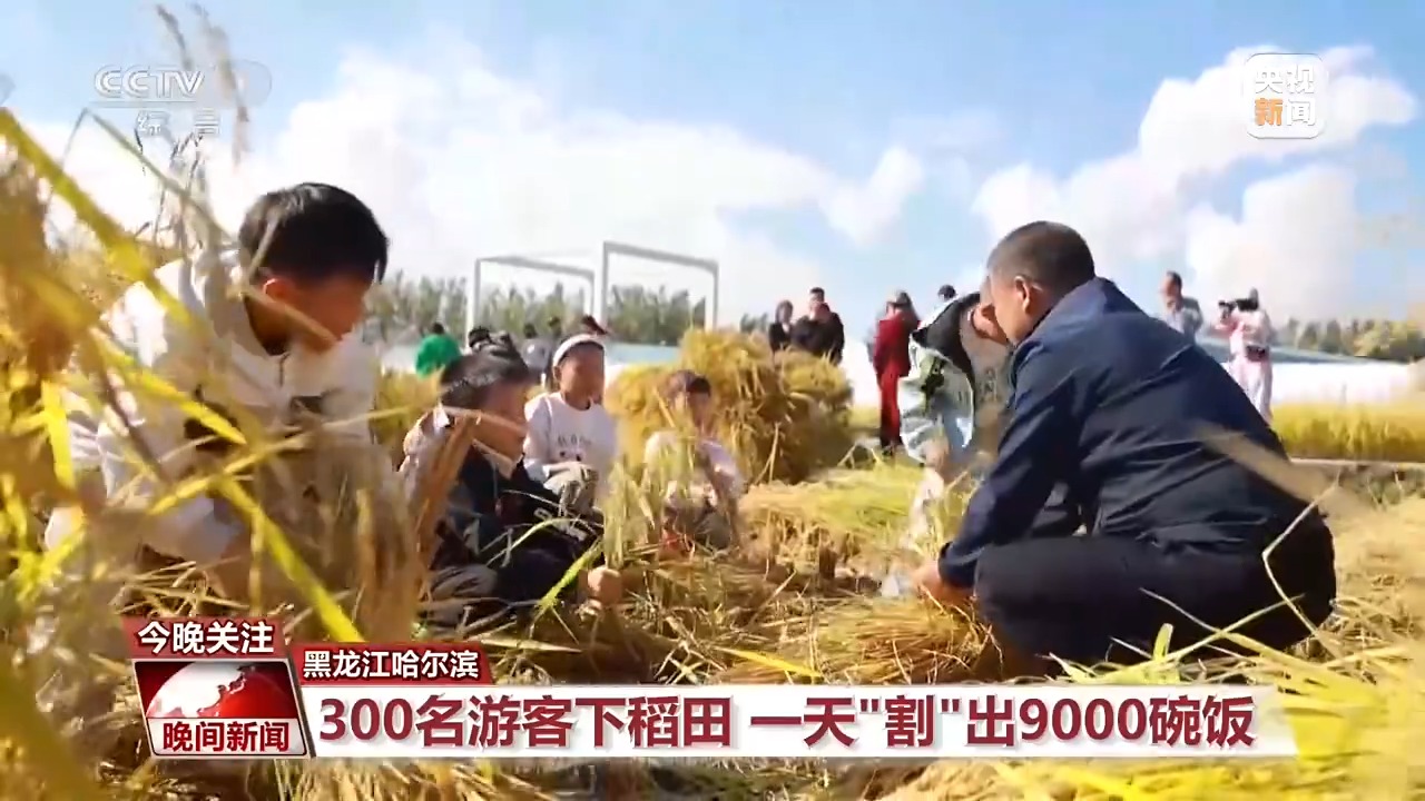 国庆出游重“体验” 这个假期参与感满满