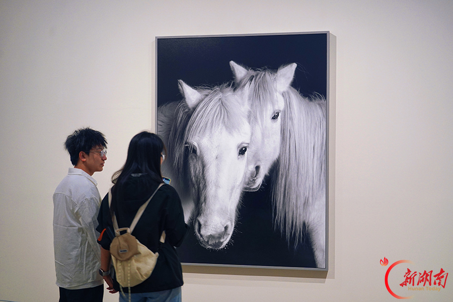 国庆看展好去处 多场影像展齐亮相