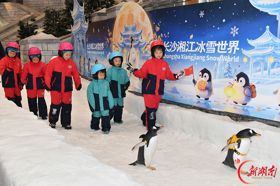 畅玩冰雪世界