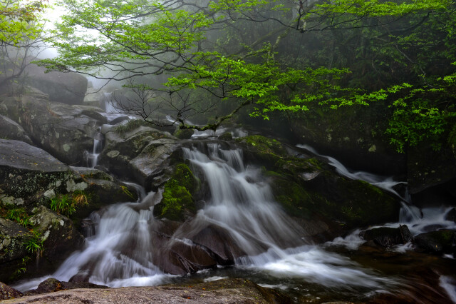 一起“森”呼吸⑦｜大围山：登顶湘东第一峰，共赏森林星河