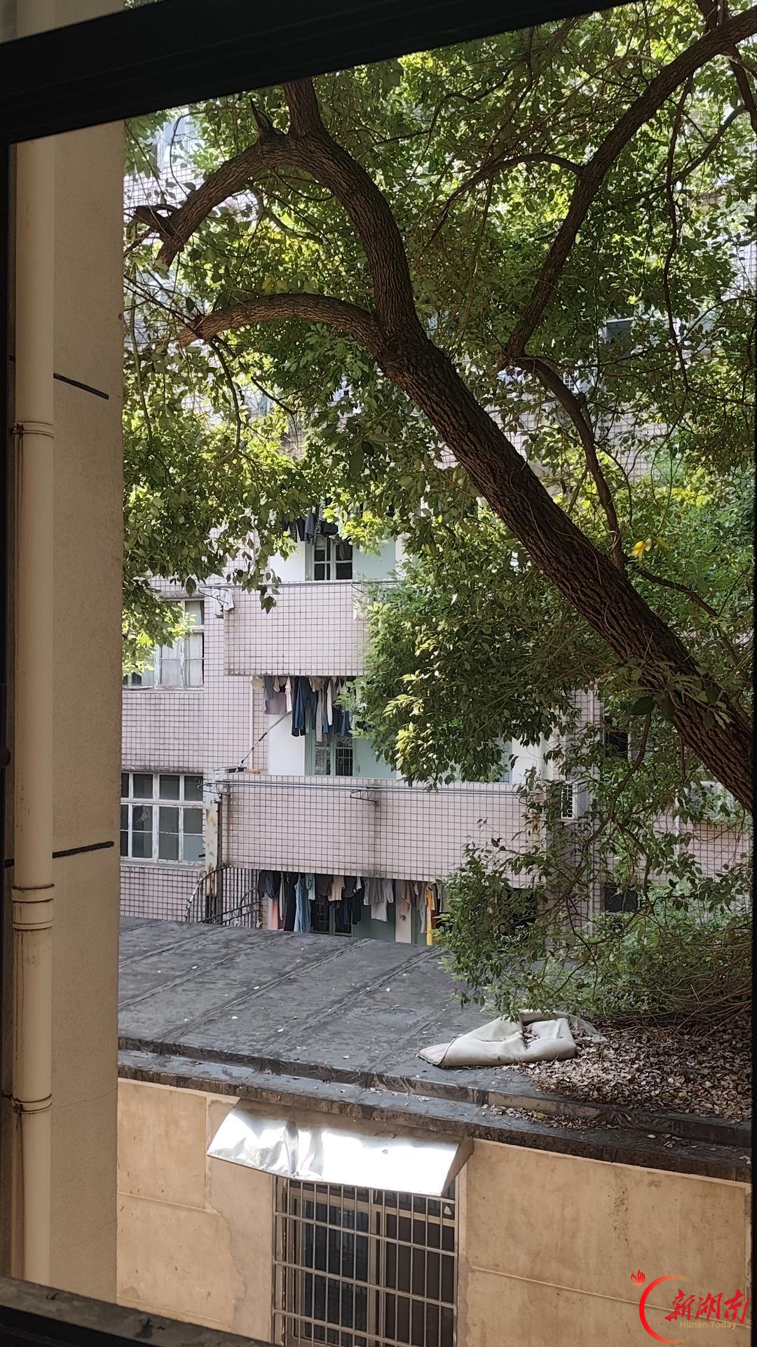 医学生·开学季|校园暖心日常㊳师恩引航,偕行共赴医路