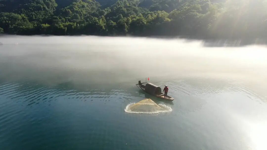专线开通！郴州两大景区实现直达互通