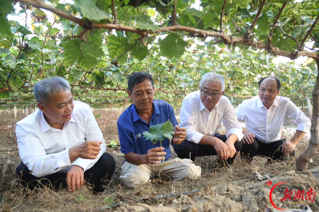 心系田土事 情暖百姓心——记第八届湖南省“人民满意的公务员集体”宁远县农村经营服务站