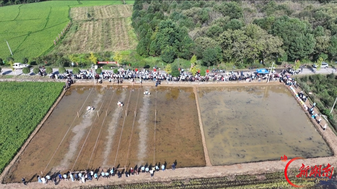 国庆茶陵农耕趣味赛现场欢乐不断，浑水摸鱼等项目超好玩