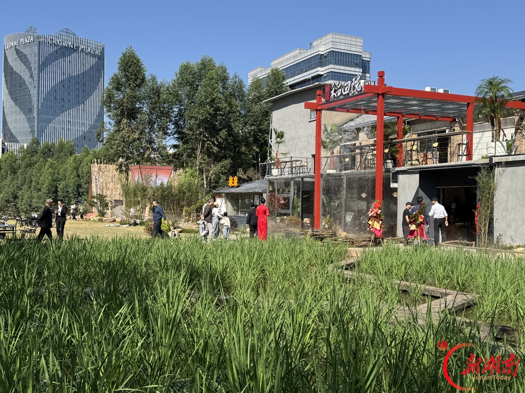 国庆七天 乐在五溪｜老宾馆变身超级稻田院，怀化城市文旅添新场景