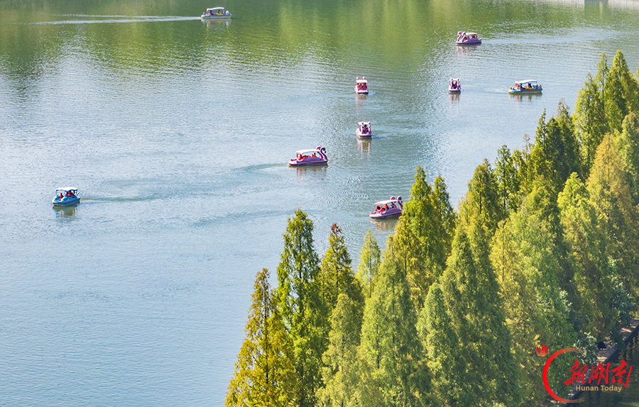 泛舟赏景 邂逅假日好时光