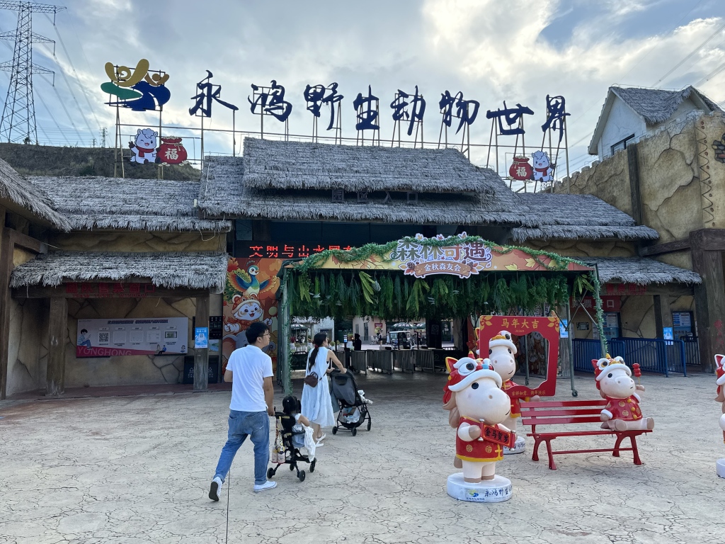动物园活体投喂引争议:60元卖活鸡让猛兽撕咬,有未成年人围观