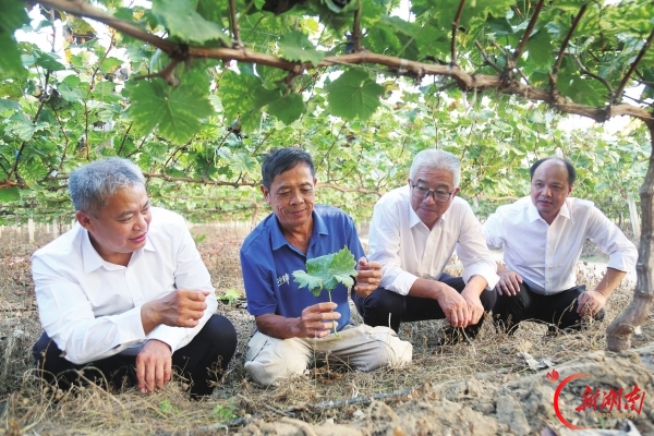 心系田土事 情暖百姓心——记第八届湖南省“人民满意的公务员集体”宁远县农村经营服务站