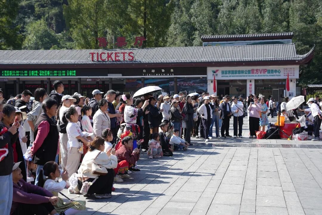“十一”乐游张家界丨张家界武陵源旅游“热”力十足