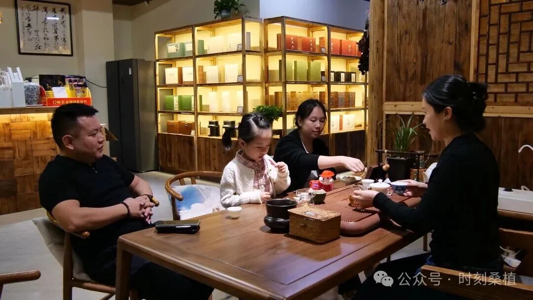 桑植白茶一条街:一缕茶香 引来八方游客