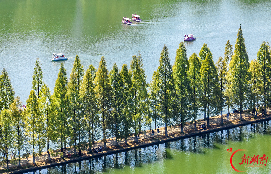 泛舟赏景 邂逅假日好时光