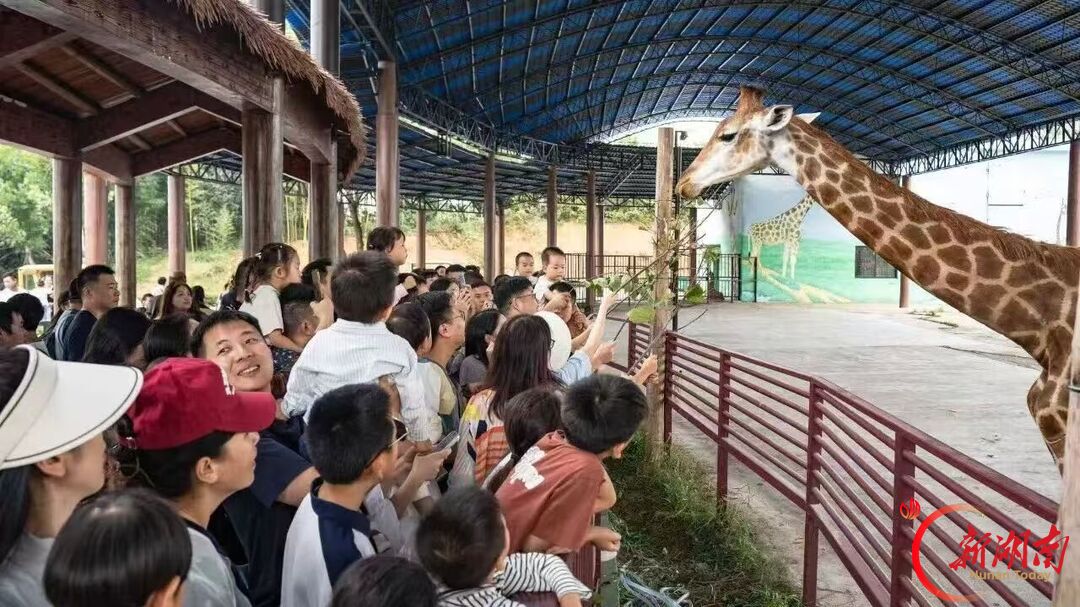八方游客热拥“一城山水”——国庆假期常德文旅见闻