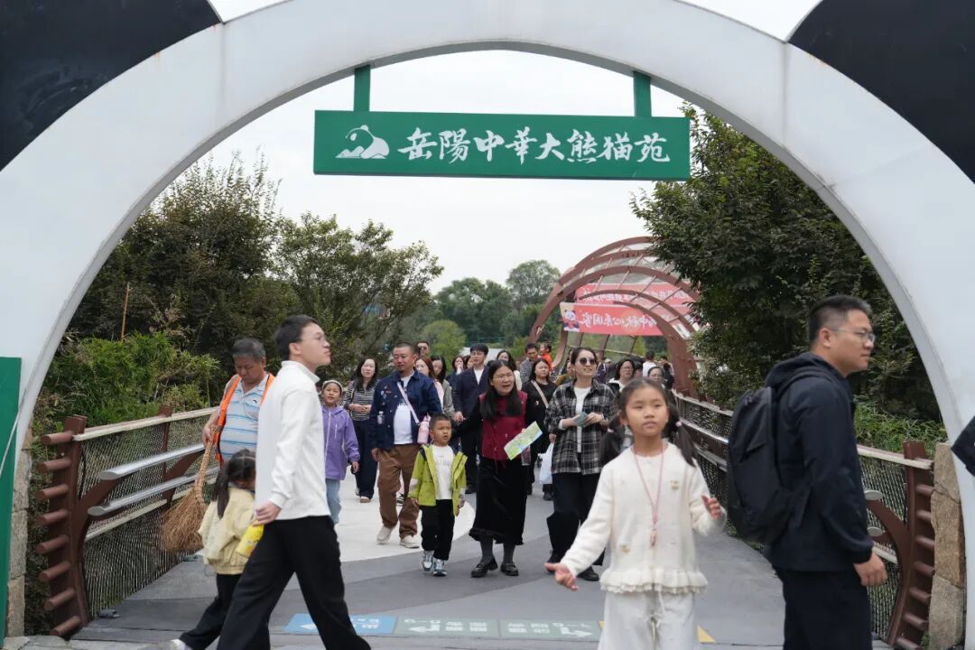 国庆假期，岳阳热闹值爆表！