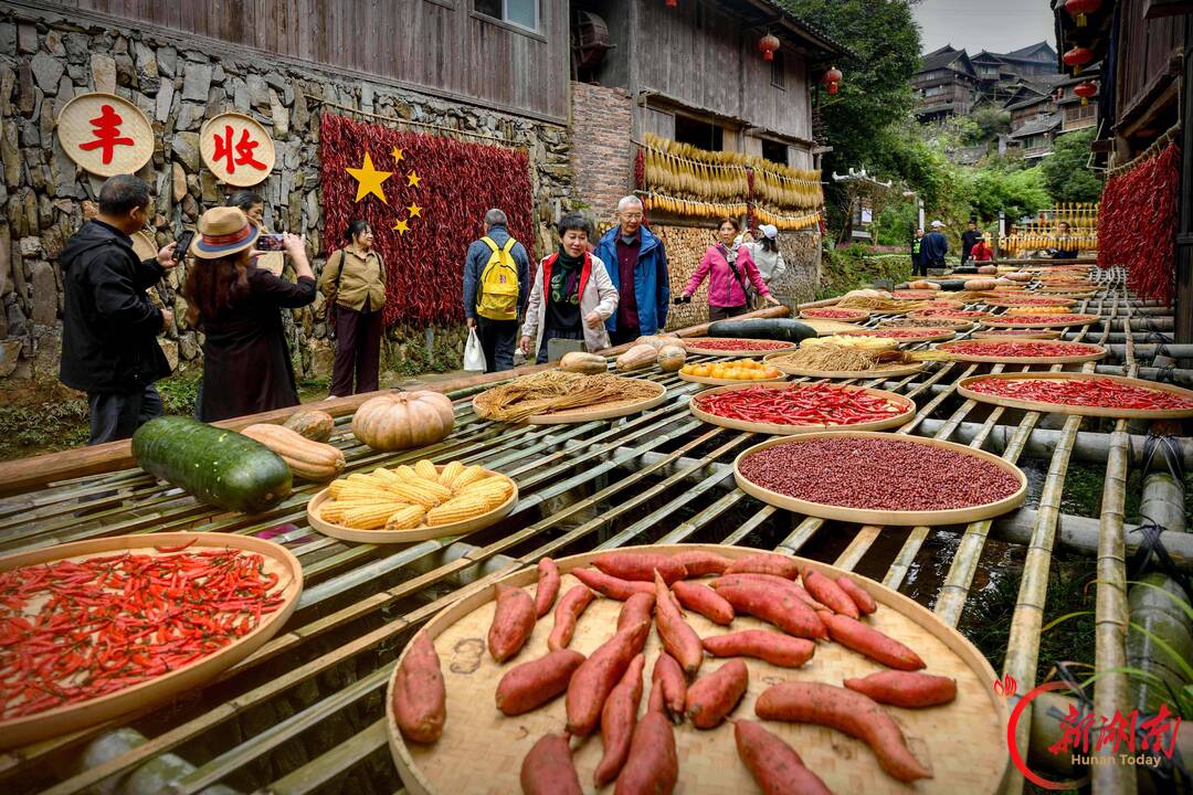 国庆七天 乐在五溪|通道芋头古侗寨晒秋大片上线