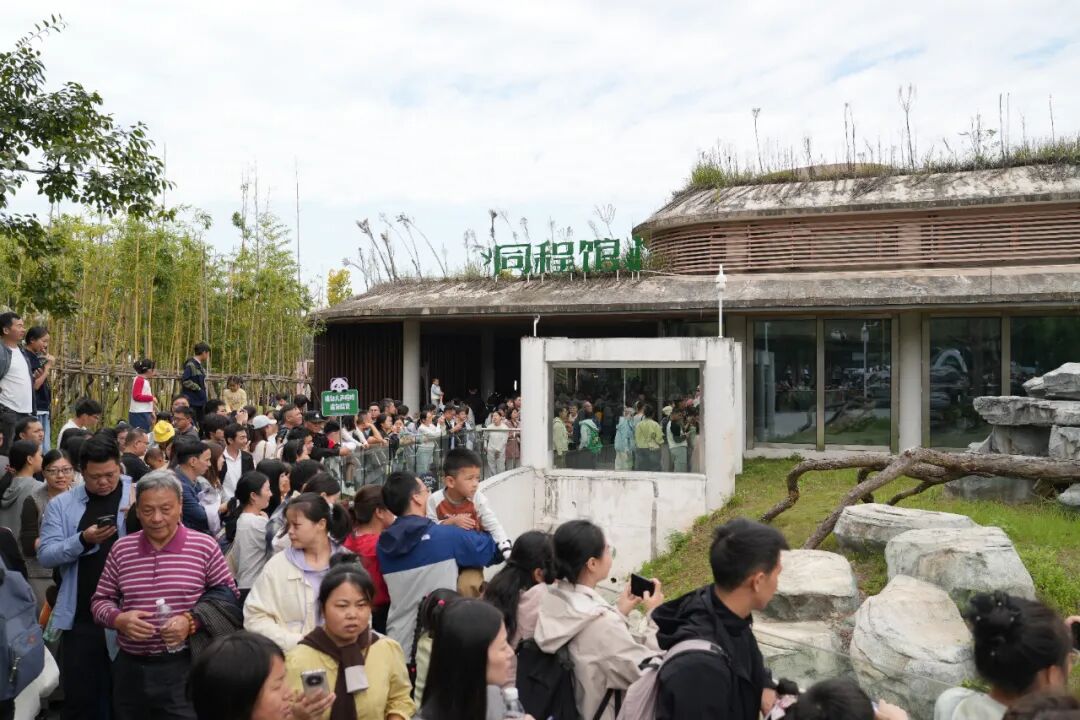 国庆假期，岳阳热闹值爆表！