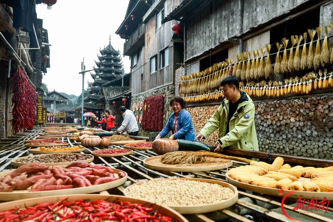 国庆七天 乐在五溪|通道芋头古侗寨晒秋大片上线