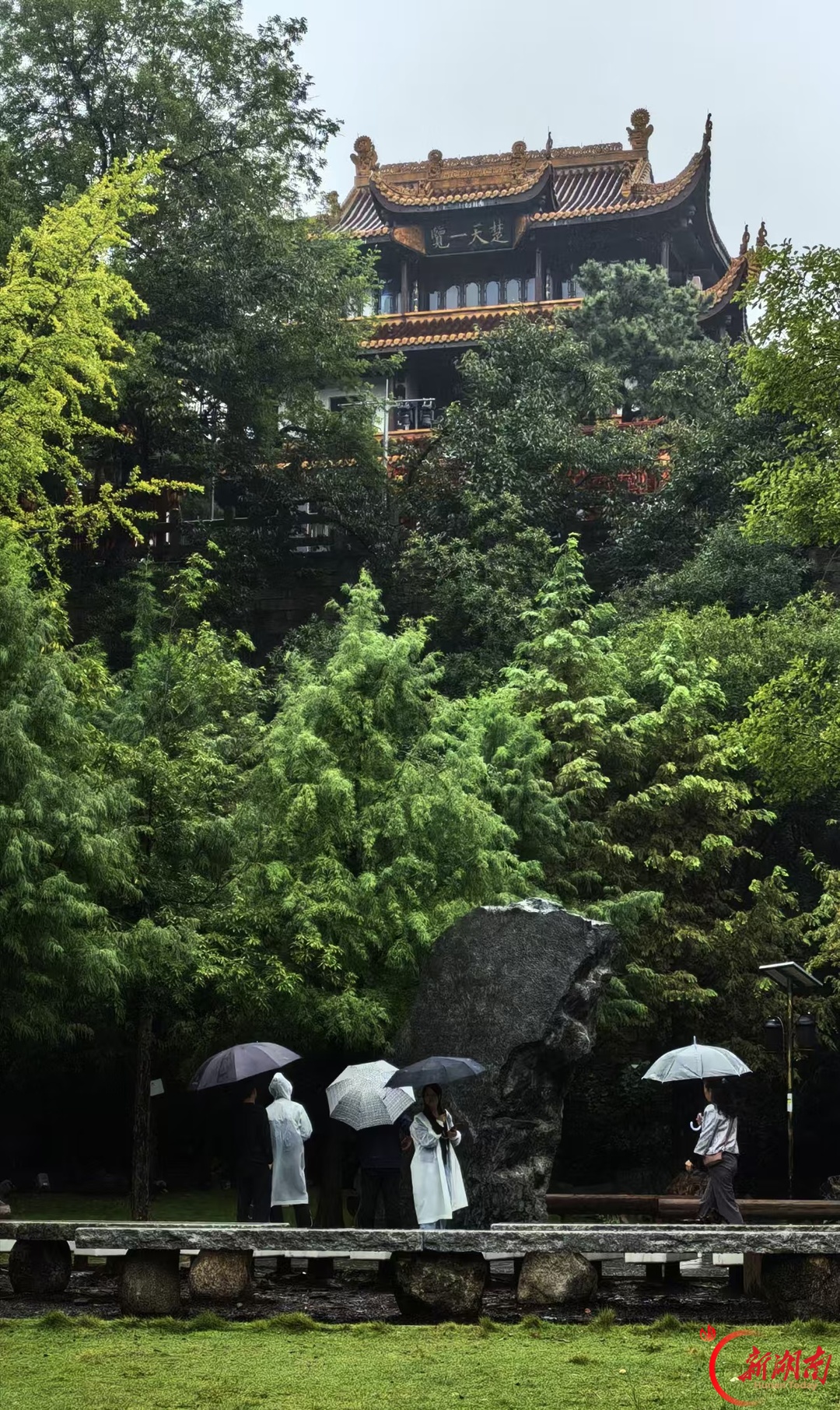 散文丨烟雨慢行记