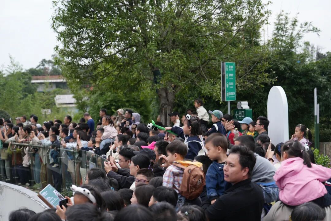 国庆假期，岳阳热闹值爆表！
