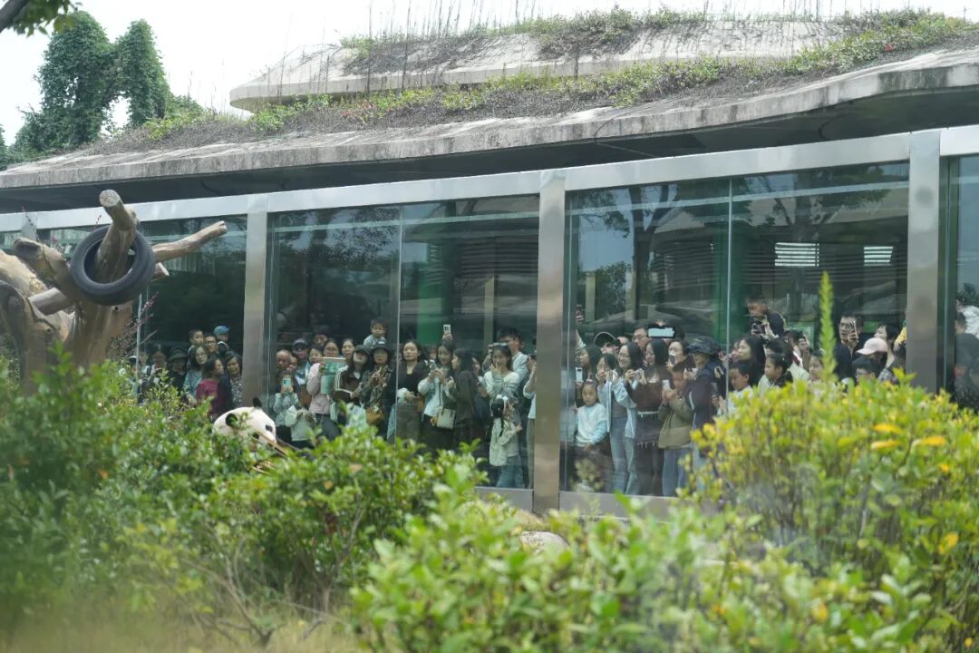 国庆假期，岳阳热闹值爆表！