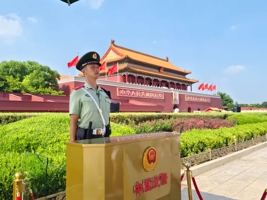 全网刷屏的天安门小猫,后续来了!