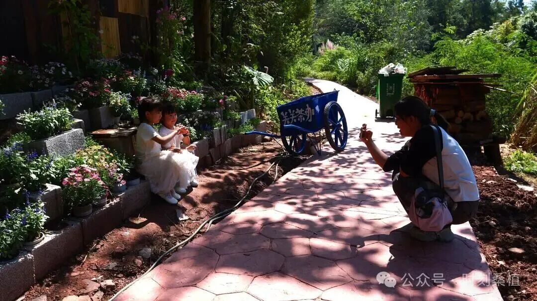 “十一”乐游张家界丨流量变“留量” 洪家关白族乡“关关茶咖”国庆火爆出圈