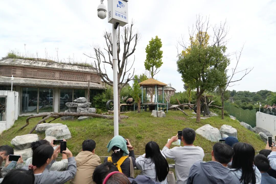 国庆假期，岳阳热闹值爆表！