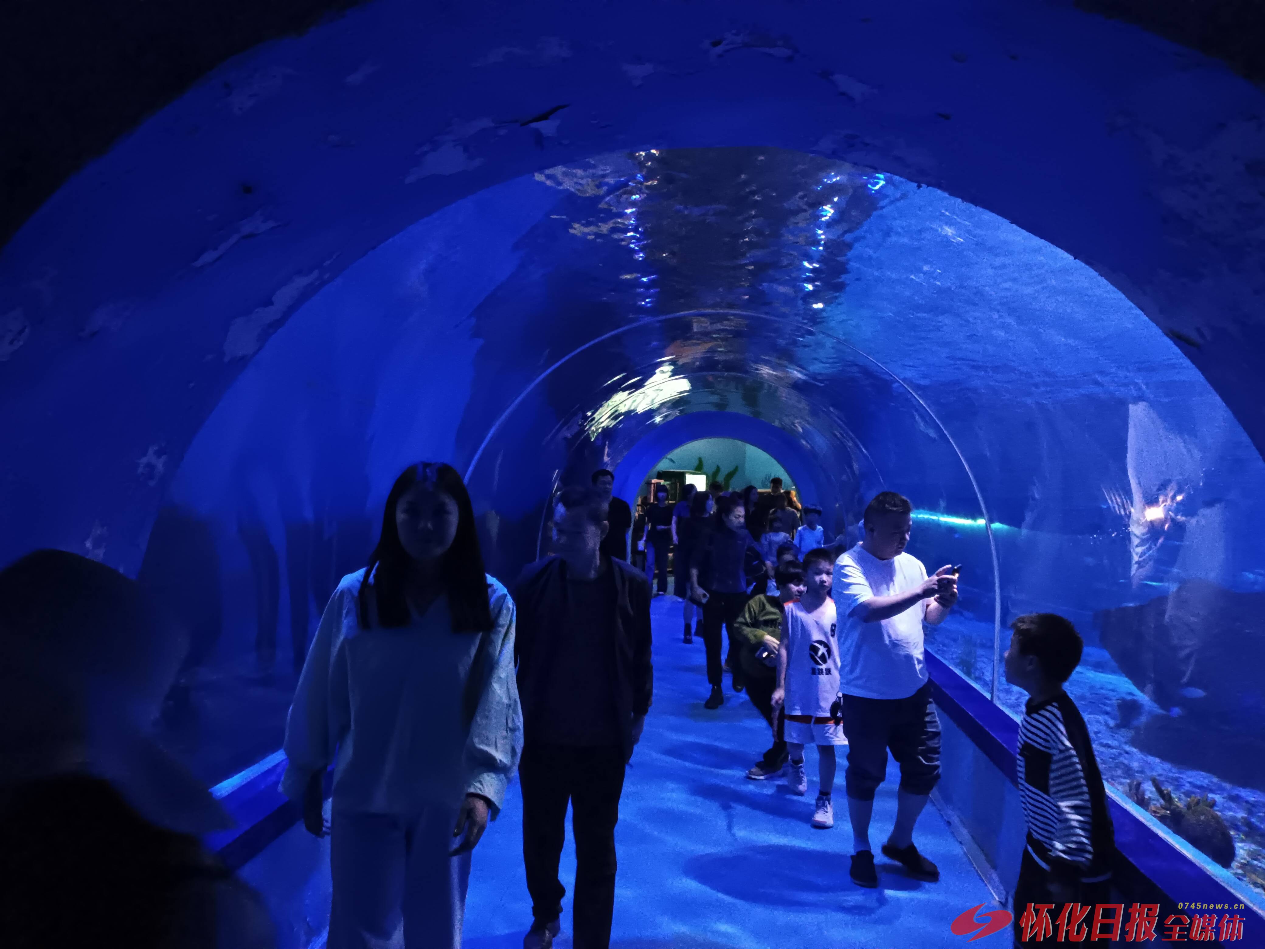 农旅业态活力显现 九丰现代农博园丰富市民假日生活
