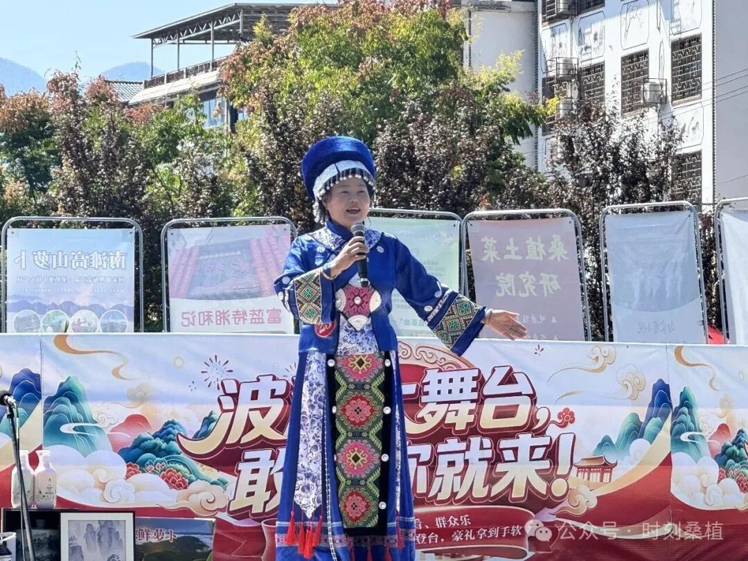 “十一”乐游张家界丨“波波大舞台”12强诞生,今晚决赛不见不散
