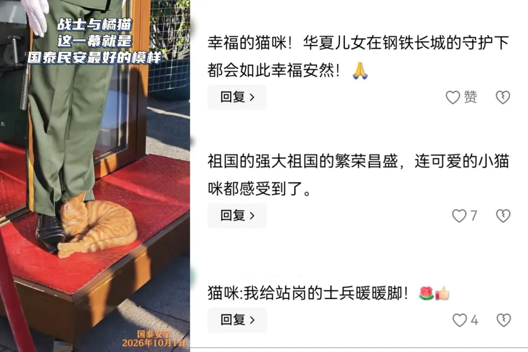 全网刷屏的天安门小猫,后续来了!